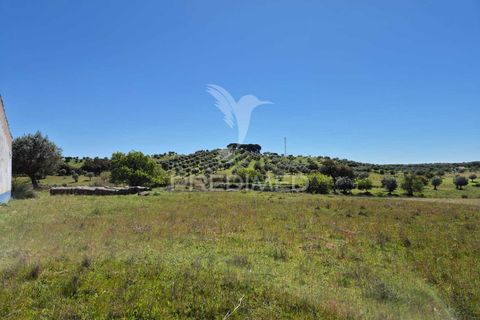 Farm hus i Mora, Evora, Mora - € 360.000 | Ref: 059453 - foto 9