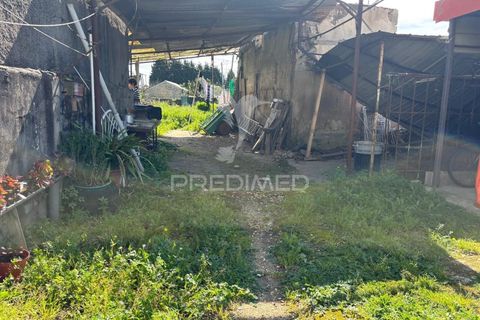 Helårsgrund i Aveiro, Aveiro, Aveiro - € 80.000 | Ref: 059462 - foto 4