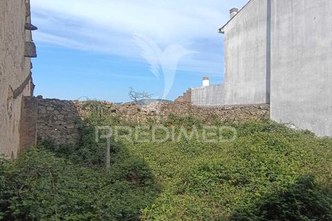 Terra a Penamacor, Castelo Branco, Penamacor - € 25.000 | Ref: 059486 - foto 2
