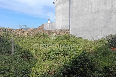 Terra a Penamacor, Castelo Branco, Penamacor - € 25.000 | Ref: 059486 - foto 3