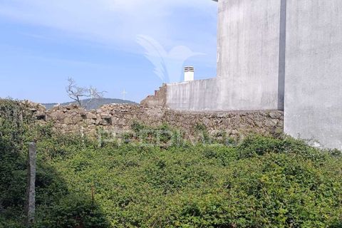 Terra a Penamacor, Castelo Branco, Penamacor - € 25.000 | Ref: 059486 - foto 4