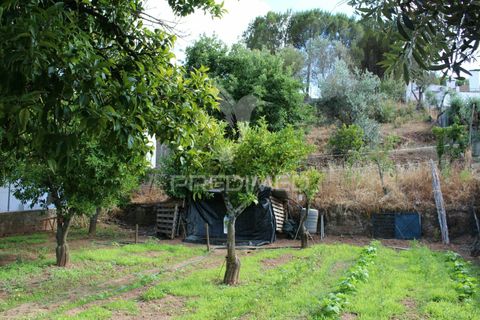 Terra a Redondo, Evora, Redondo - € 32.500 | Ref: 031111 - foto 2