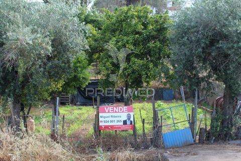 Terra a Redondo, Evora, Redondo - € 32.500 | Ref: 031111 - foto 4