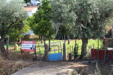 Terra a Redondo, Evora, Redondo - € 32.500 | Ref: 031111 - foto 5