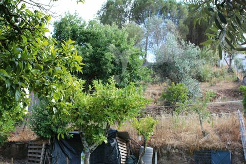 Terra a Redondo, Evora, Redondo - € 32.500 | Ref: 031111 - foto 6
