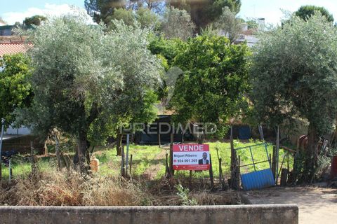 Terra a Redondo, Evora, Redondo - € 32.500 | Ref: 031111 - foto 7