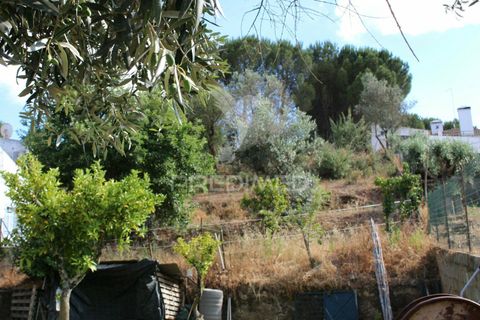 Terra a Redondo, Evora, Redondo - € 32.500 | Ref: 031111 - foto 8