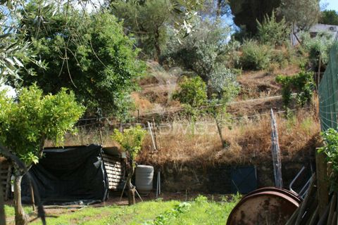 Terra a Redondo, Evora, Redondo - € 32.500 | Ref: 031111 - foto 9
