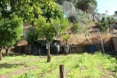 Terra a Redondo, Evora, Redondo - € 32.500 | Ref: 031111 - foto 10