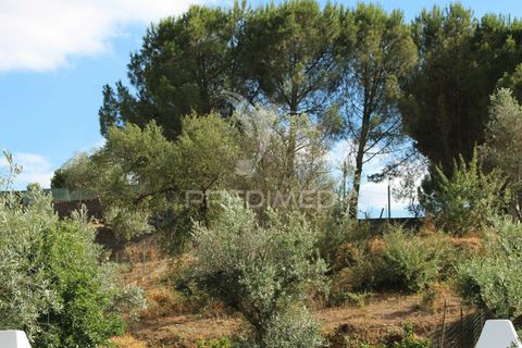 Terra a Redondo, Evora, Redondo - € 32.500 | Ref: 031111 - foto 11