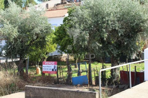 Terra a Redondo, Evora, Redondo - € 32.500 | Ref: 031111 - foto 12