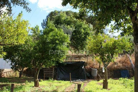 Terra a Redondo, Evora, Redondo - € 32.500 | Ref: 031111 - foto 13