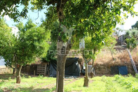 Terra a Redondo, Evora, Redondo - € 32.500 | Ref: 031111 - foto 14