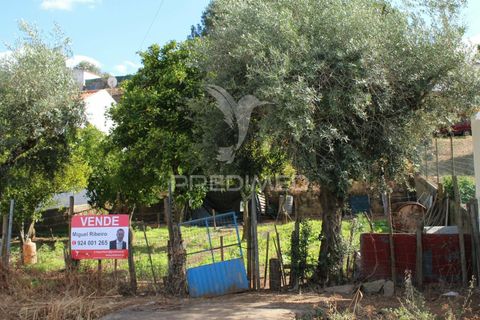 Terra a Redondo, Evora, Redondo - € 32.500 | Ref: 031111 - foto 16
