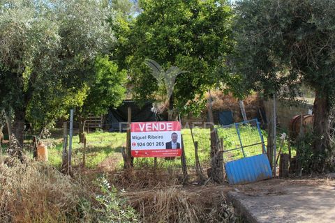Terra a Redondo, Evora, Redondo - € 32.500 | Ref: 031111 - foto 17