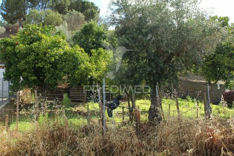Terra a Redondo, Evora, Redondo - € 32.500 | Ref: 031111 - foto 18