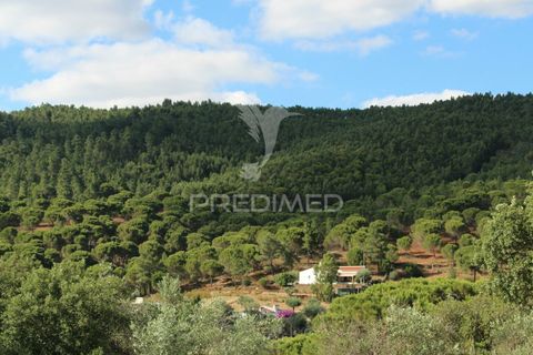 Terra a Redondo, Evora, Redondo - € 32.500 | Ref: 031111 - foto 19