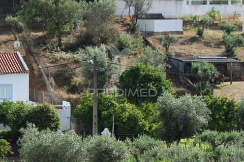 Terra a Redondo, Evora, Redondo - € 32.500 | Ref: 031111 - foto 22