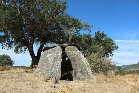 Terra a Redondo, Evora, Redondo - € 32.500 | Ref: 031111 - foto 24
