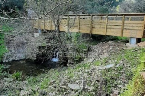 Terra a Redondo, Evora, Redondo - € 32.500 | Ref: 031111 - foto 28