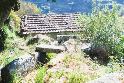 Byhus i Vila Real, Vila Real, Vila Real - € 90.000 | Ref: 032250 - foto 31