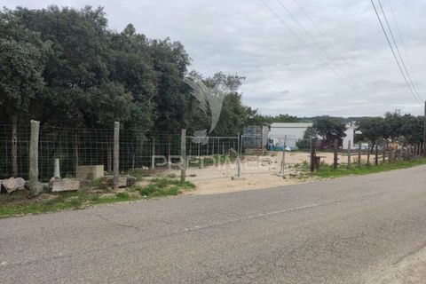 Helårsgrund i Ourem, Santarem, Ourem - € 25.000 | Ref: 033363 - foto 3