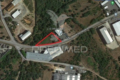 Helårsgrund i Ourem, Santarem, Ourem - € 25.000 | Ref: 033363 - foto 5
