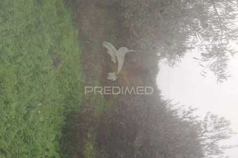 Terra a Armamar, Viseu, Armamar - € 55.000 | Ref: 033449 - foto 2