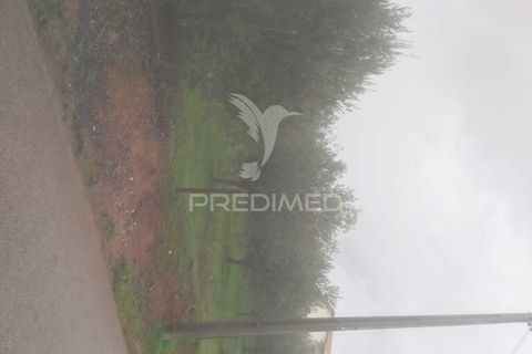 Terra a Armamar, Viseu, Armamar - € 55.000 | Ref: 033449 - foto 3