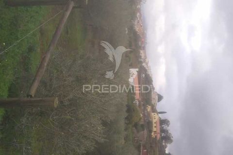 Terra a Armamar, Viseu, Armamar - € 55.000 | Ref: 033449 - foto 4