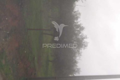 Terra a Armamar, Viseu, Armamar - € 55.000 | Ref: 033449 - foto 7