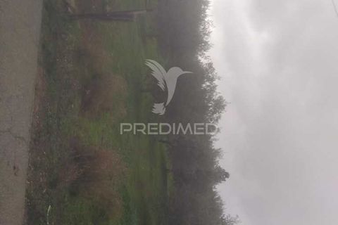 Terra a Armamar, Viseu, Armamar - € 55.000 | Ref: 033449 - foto 10