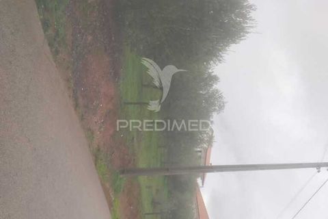Terra a Armamar, Viseu, Armamar - € 55.000 | Ref: 033449 - foto 11