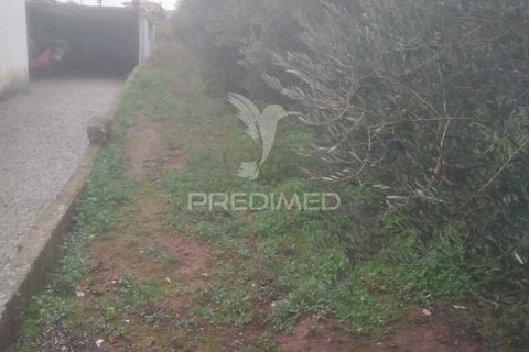 Terra a Armamar, Viseu, Armamar - € 55.000 | Ref: 033449 - foto 13