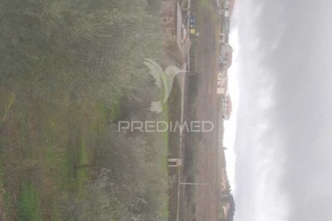 Terra a Armamar, Viseu, Armamar - € 55.000 | Ref: 033449 - foto 14