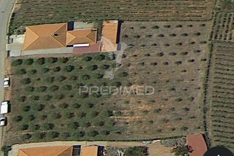 Terra a Armamar, Viseu, Armamar - € 55.000 | Ref: 033449 - foto 15