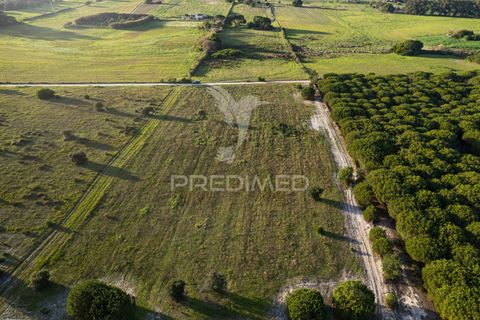 Helårsgrund i Sines, Setubal, Sines - € 2.000.000 | Ref: 033975 - foto 6