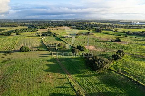 Helårsgrund i Sines, Setubal, Sines - € 2.000.000 | Ref: 033975 - foto 13