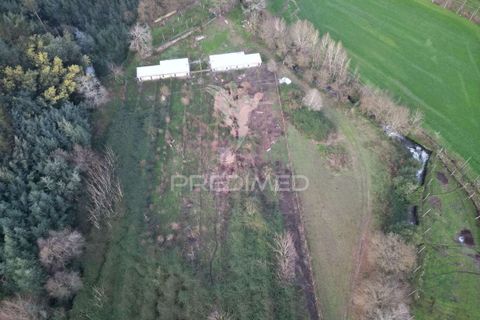 Helårsgrund i Guimaraes, Braga, Guimaraes - € 125.000 | Ref: 034251 - foto 7