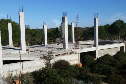 Terra em Ourique, Beja, Ourique - € 350.000 | Ref: 034253 - foto 3