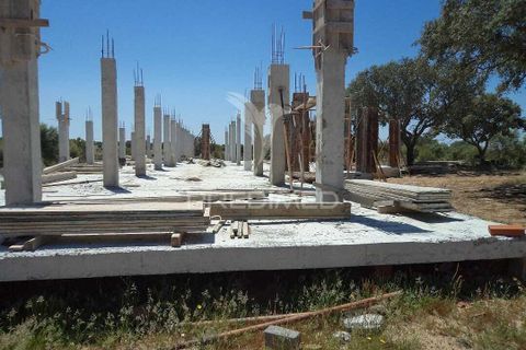 Terra em Ourique, Beja, Ourique - € 350.000 | Ref: 034253 - foto 6