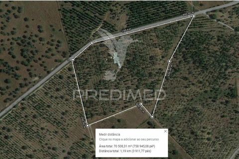 Terra em Ourique, Beja, Ourique - € 350.000 | Ref: 034253 - foto 16