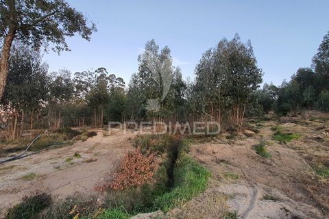 Helårsgrund i Penafiel, Porto, Penafiel - € 59.000 | Ref: 035190 - foto 3