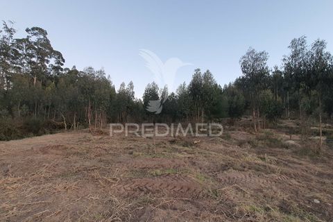 Helårsgrund i Penafiel, Porto, Penafiel - € 59.000 | Ref: 035190 - foto 4