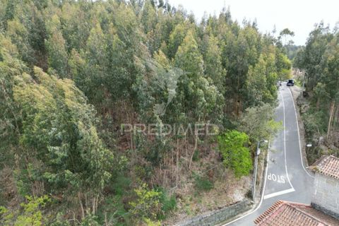 Helårsgrund i Guimaraes, Braga, Guimaraes - € 969.800 | Ref: 036381 - foto 8