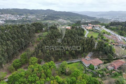 Helårsgrund i Guimaraes, Braga, Guimaraes - € 969.800 | Ref: 036381 - foto 11