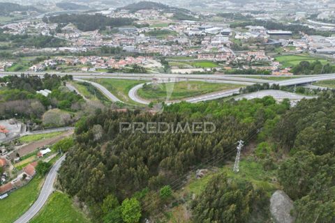 Helårsgrund i Guimaraes, Braga, Guimaraes - € 969.800 | Ref: 036381 - foto 12