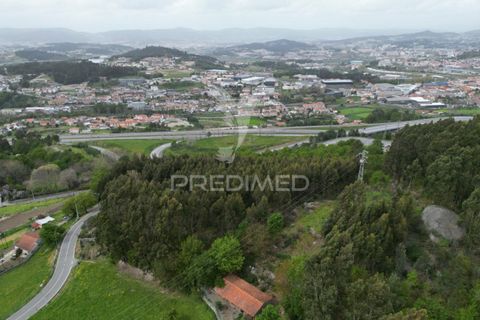 Helårsgrund i Guimaraes, Braga, Guimaraes - € 969.800 | Ref: 036381 - foto 13