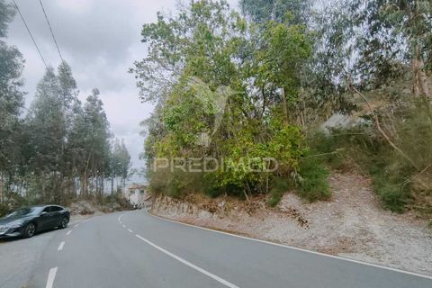 Helårsgrund i Guimaraes, Braga, Guimaraes - € 969.800 | Ref: 036381 - foto 17
