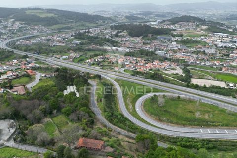 Helårsgrund i Guimaraes, Braga, Guimaraes - € 969.800 | Ref: 036381 - foto 19